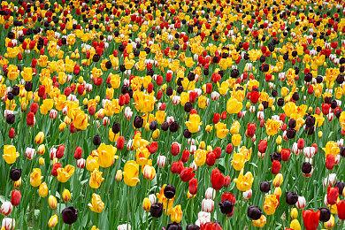 《使命召唤20：现代战争3》配置需求公布 最低仅需GTX 970