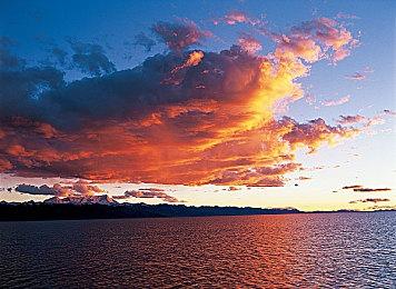 灵感来自午休活动？《马里奥赛车：世界》操控系统幕后公开