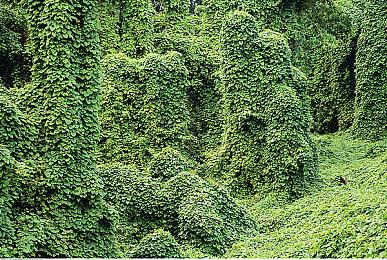 爷青回：《忍者神龟合集》PS5版9分钟Boss战演示